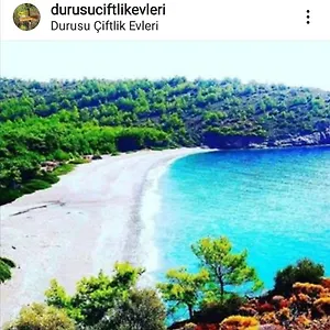 Durusu Ciftlikevleri Bed & Breakfast